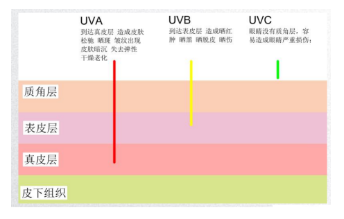 1623409001.png QQ截圖20210611161543.png